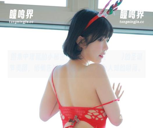 图集中埋藏的小秘密！Addielyn(에디린)的圣诞节美图，悄悄告诉你节日里那些不为人知的瞬间。