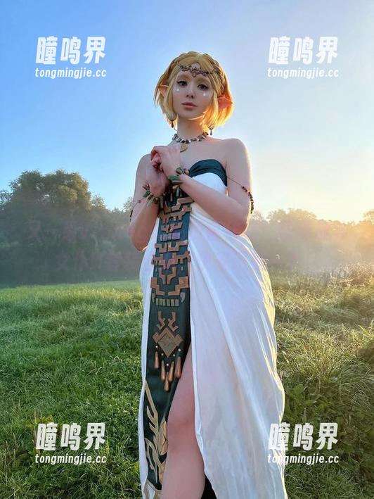 Vinnegal 又一组Vinnegal的厉害作品:蕾泽战斗女仆II套装合集,快来感受一下!
