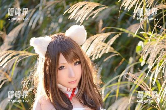 在サク(saku)的兔女郎图包里，cos的世界变得无比广阔。