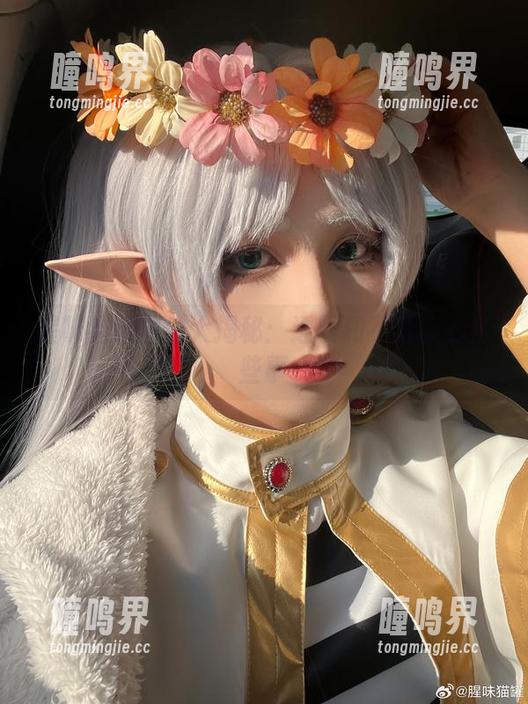 腥味猫罐 腥味猫罐图包大揭秘:透明和不透明的那些事